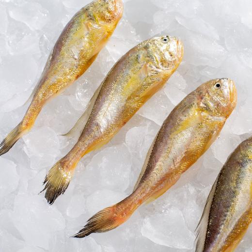 【蛇舞新春】至鲜甄选礼盒（会员专享👑） 商品图3