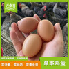 东升农场 凤竹山土鸡蛋 农家蛋 走地鸡 竹林散养 中草药喂饲 30枚 60枚 商品缩略图0
