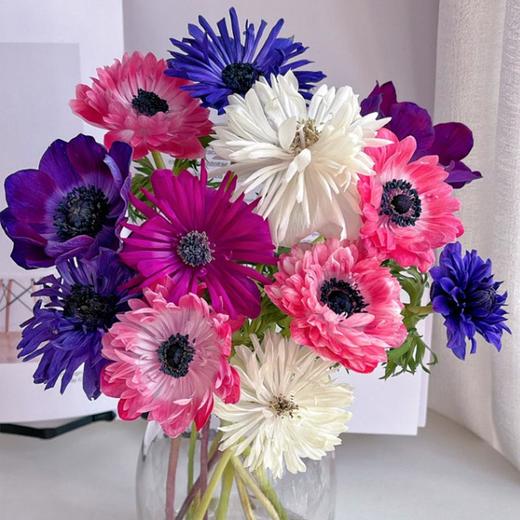 当季精品银莲花10支 商品图0