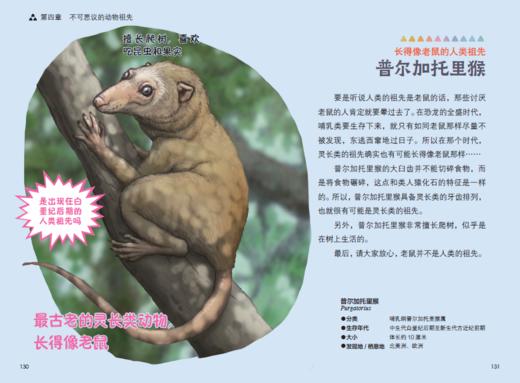 “今泉忠明动物小百科”系列（全3册） 商品图10