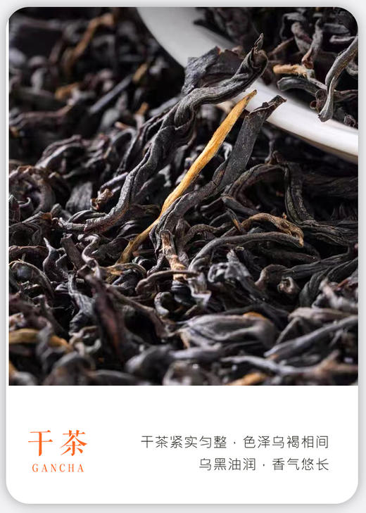 凤宁号 | 2024年 高香滇红50G/罐 商品图1