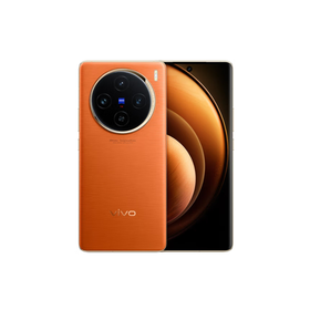 vivo X100 Pro