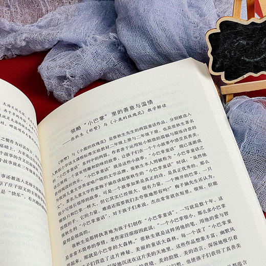 小学语文文本解读 下 大夏书系 闫学 荣列中国教师报影响教师的100本图书 商品图7