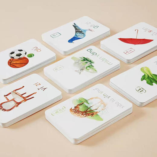 小象拼音aoe 小象汉 著 中小学教辅字 商品图3