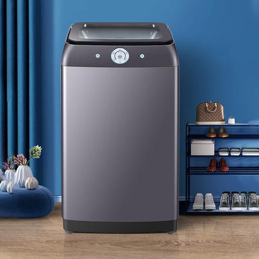 海尔（Haier）洗鞋机全自动刷鞋机可脱水家用智能洗脱一体多功能懒人洗鞋神器迷你免拆鞋带 【升级侧刷 手机智控 可洗两双】HQ2 T51U1 商品图0