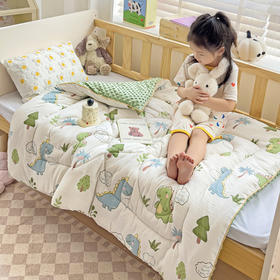 秋冬【儿童豆豆被】韩国风 幼儿园被子 被芯卡通保暖 可机洗