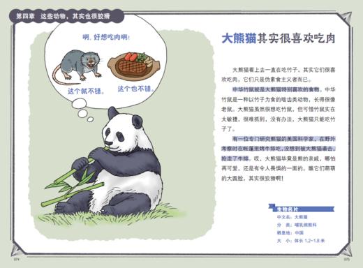 “今泉忠明动物小百科”系列（全3册） 商品图14