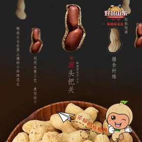 锦川核桃味花生工厂直供组
