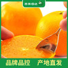 PAGODA百果园 爱媛果冻橙3斤尝鲜装（单果径60-70mm） 商品缩略图4