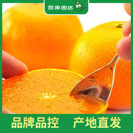 PAGODA百果园 爱媛果冻橙3斤尝鲜装（单果径60-70mm） 商品图4