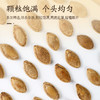 新疆五香味南瓜子 壳薄易磕【巴咂巴咂】 商品缩略图1