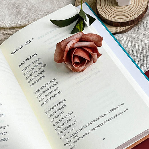 格奥尔格诗选 精装 外国诗歌 文学研究 莫光华翻译 商品图7