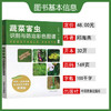 蔬菜害虫识别与防治彩色图谱 邱海燕 刘奎主编 中国农业出版社 正版保证【官方正版，可开发票，下单时留开票信息和电子邮箱】 商品缩略图1