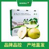 PAGODA百果园 A级-孔雀河畔香梨（特大）20枚礼盒装 商品缩略图0