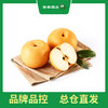 PAGODA百果园 冰糖梨（大果）7斤9粒礼盒装（净重3.5kg） 商品缩略图1