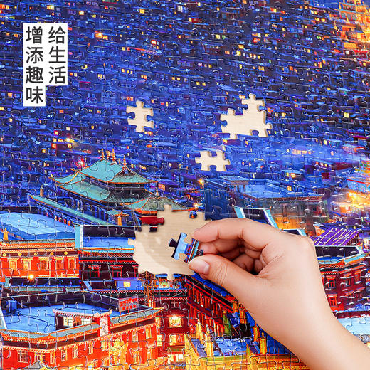 TOI图益-潮玩拼图摄影系列-《夜伴色达》-2000片 商品图3