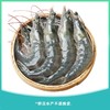 基围虾 约500g/份（离水易死，谨慎购买） 商品缩略图0