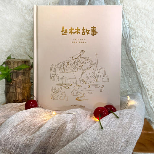《大文豪写给孩子的小童书-丛林故事》 商品图2