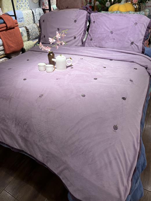 曼庭生活网红韩式绣花玉肤绒四件套 商品图4