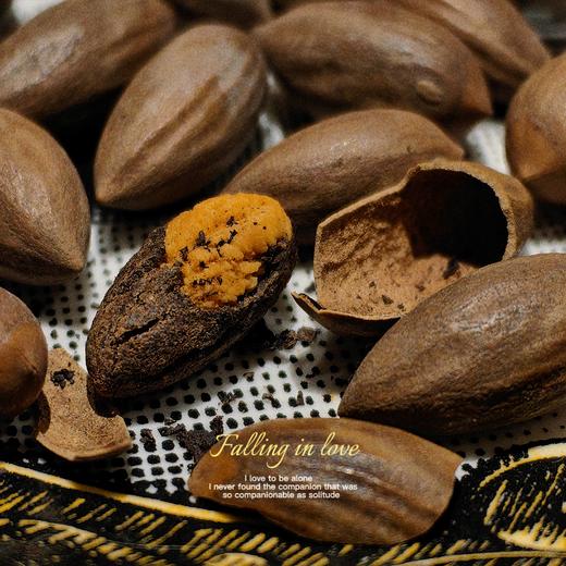 [屁侠推荐]百年古树香榧 壳薄肉酥 香脆可口 真空包装/礼盒 坚果 商品图0