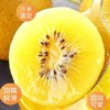 【一口爆汁！满口香甜】四川黄心猕猴桃，果肉鲜嫩多汁，营养丰富，奇异果新鲜水果当季整箱包邮金大果时令弥猴桃 商品缩略图1