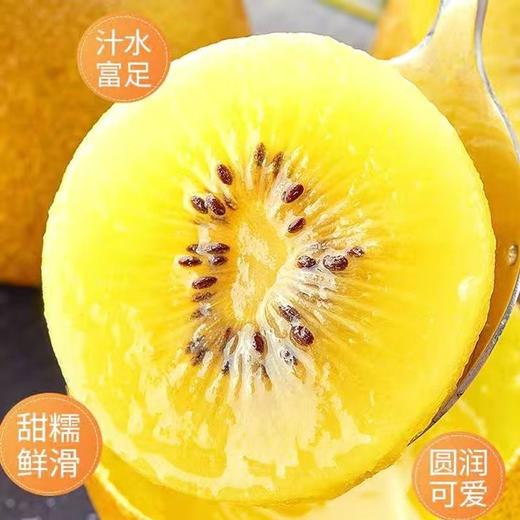 【一口爆汁！满口香甜】四川黄心猕猴桃，果肉鲜嫩多汁，营养丰富，奇异果新鲜水果当季整箱包邮金大果时令弥猴桃 商品图1