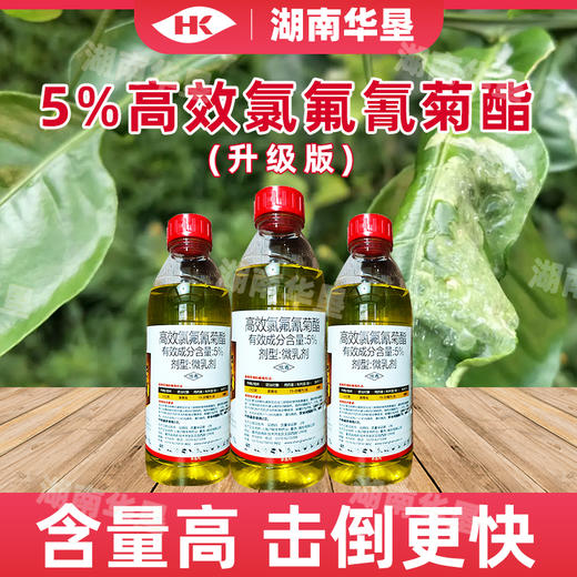 高效氯氟氰菊酯升级版小白菜菜青虫杀虫剂功夫菊酯杀虫农用农药 商品图2
