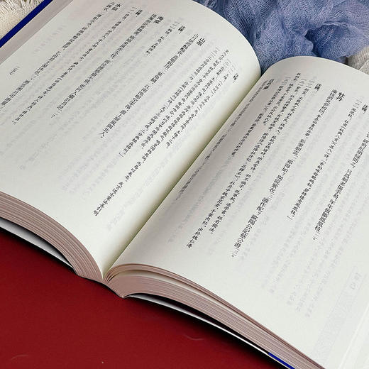 海珊诗钞注 清代别集丛刊 清初诗人严遂成诗集注本 明史杂咏 诗经序传辑疑 商品图5