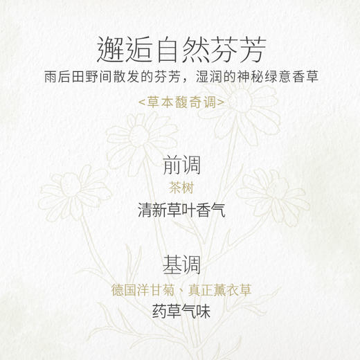 守护天使滚珠精油 商品图1