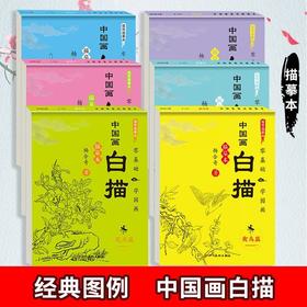 白描描摹本儿童绘画涂色本素描古诗词铅笔纸素描本工笔国风古风花