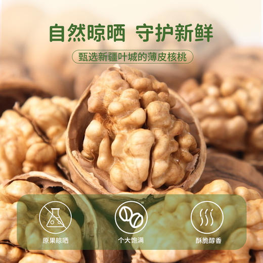 新疆喀什薄皮核桃500g（商） 商品图0