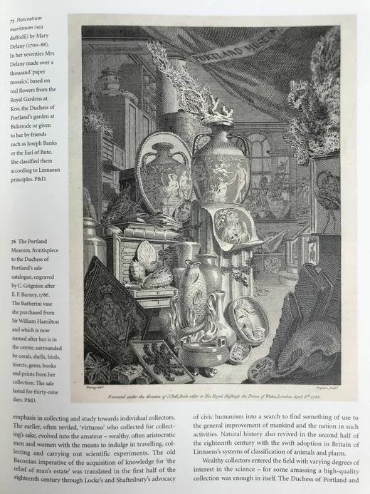 启蒙运动：发现十八世纪的世界 245幅彩色25幅黑白插图 精装16开 商品图13