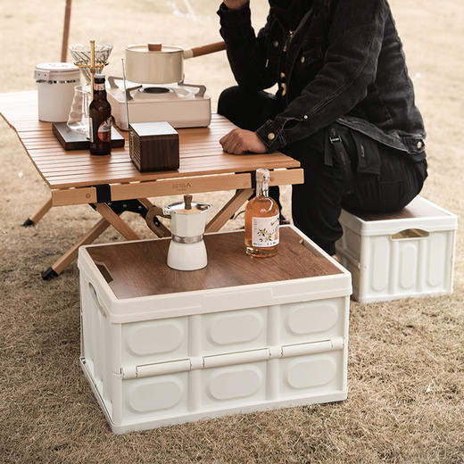 百货世界-飞图乐户外折叠收纳箱30LCWX0101（象印专柜） 商品图5