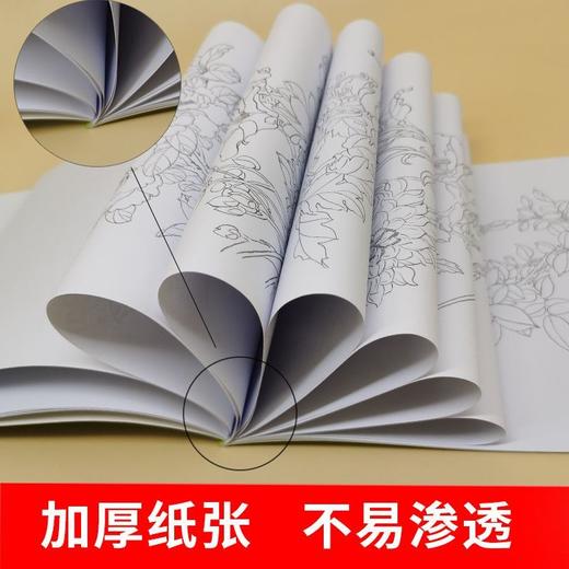 白描描摹本儿童绘画涂色本素描古诗词铅笔纸素描本工笔国风古风花 商品图2