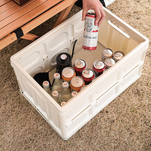 百货世界-飞图乐户外折叠收纳箱30LCWX0101（象印专柜） 商品图4