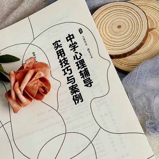 中学心理辅导实用技巧与案例 大夏书系 教育艺术 林甲针 24个典型心理辅导案例 商品图3