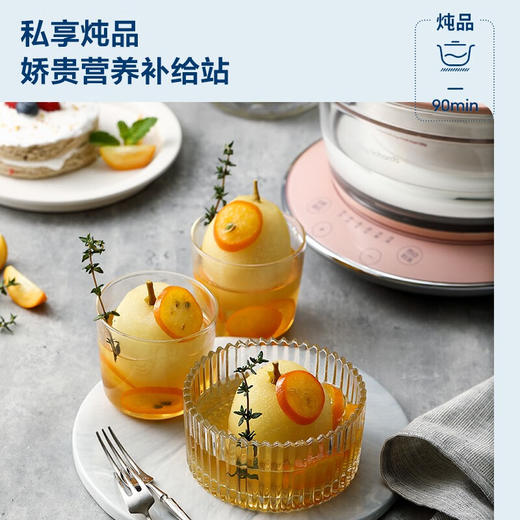 摩飞电器（Morphyrichards）电炖锅  隔水炖锅 家用燕窝炖盅炖汤电煮锅煮粥锅电炖盅 预约定时婴儿辅食料理锅 MR9081 清新绿 商品图1