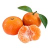 沙糖桔（约500g/份） 商品缩略图0