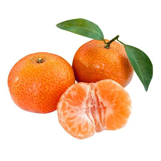 沙糖桔（约500g/份） 商品图0