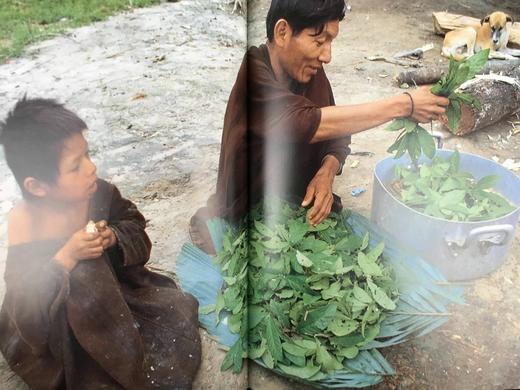 消失的亚马逊 220幅插图（150幅彩色） 精装大16开 商品图8