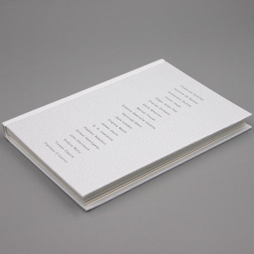 新民说·怪作家 从席勒的烂苹果到奥康纳的甜牙 （美）西莉亚·布鲁·约翰逊 著 商品图2