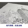 【大彩图】陈军横幅工笔画白描底稿《翠玉春晖》孔雀临摹勾线花鸟线稿CJ46 商品缩略图4