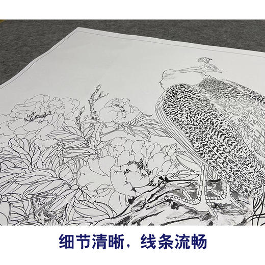 【大彩图】陈军横幅工笔画白描底稿《翠玉春晖》孔雀临摹勾线花鸟线稿CJ46 商品图4