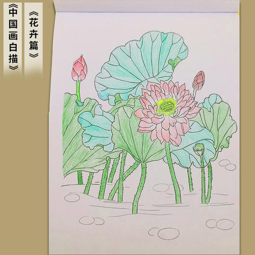 白描描摹本儿童绘画涂色本素描古诗词铅笔纸素描本工笔国风古风花 商品图6