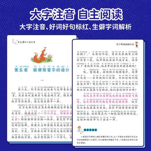 国际获奖小说注音版全套10册小学生一年级阅读课外书必读上册二三年级课外书籍大奖 商品图3
