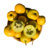 金如意山楂  清香软面  色泽金黄  核小肉厚  甜大于酸  黄山楂  300g 商品缩略图7