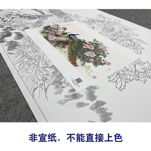 【大彩图】陈军横幅工笔画白描底稿《孔雀》临摹勾线花鸟线稿CJ42 商品图2
