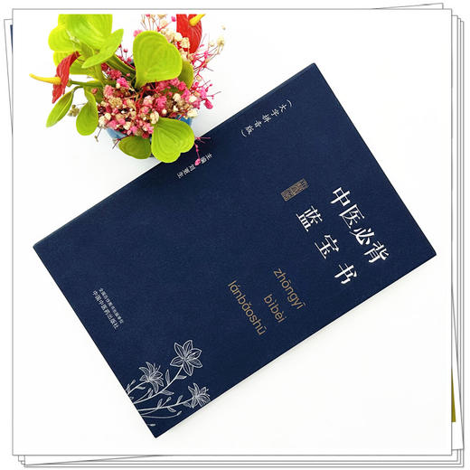 中医必背蓝宝书（大字拼音版）刘更生 主编 中国中医药出版社 中医基础 入门 书籍 商品图1