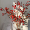 丨腊梅丨红色丨草花 商品缩略图0