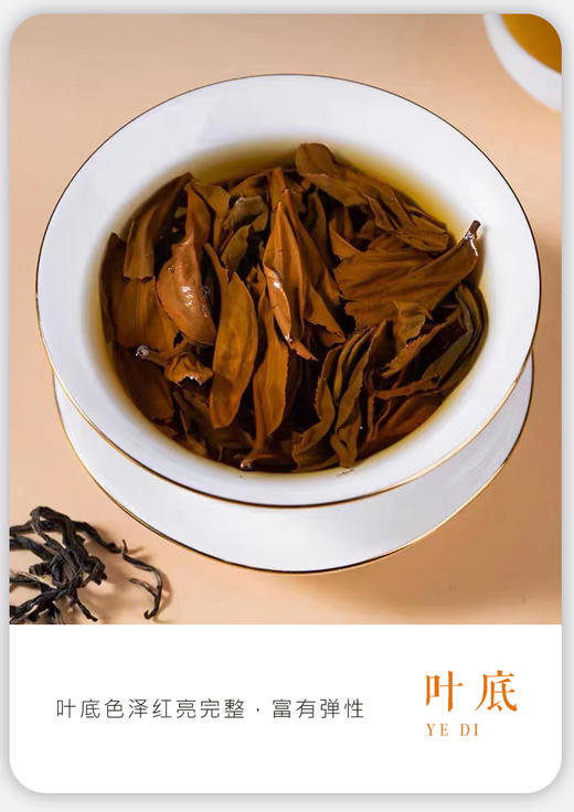 凤宁号 | 2024年 古树晒红100G/罐 商品图4